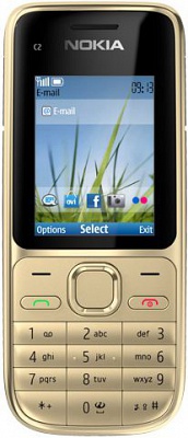 Nokia C2-01 Warm Silver